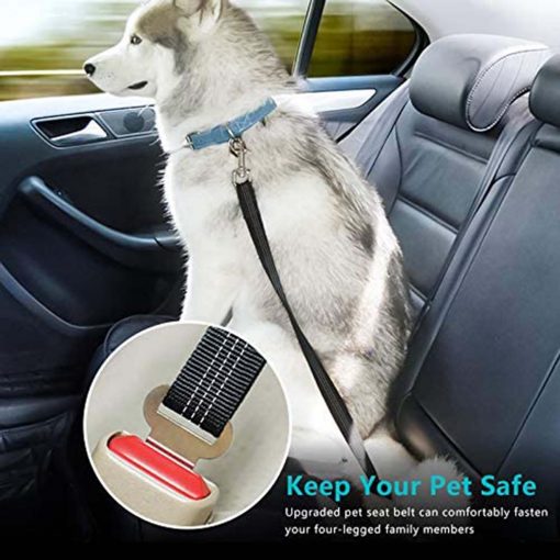FocusPet Adjustable Dog Seat Belt
