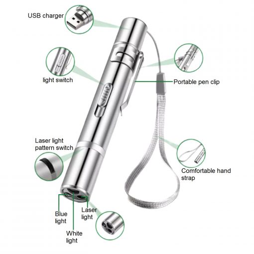 FocusPet USB Rechargeable Laser Toy