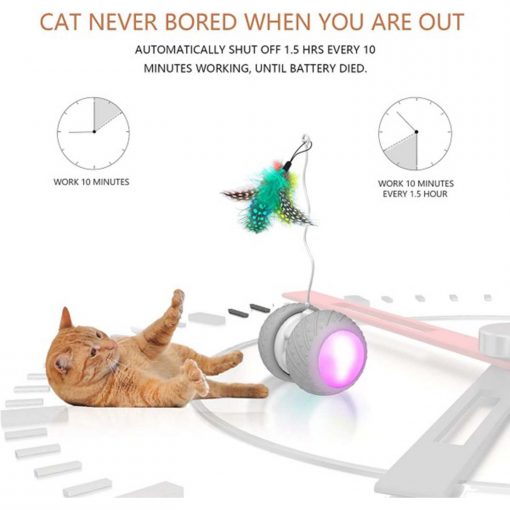 FocusPet Interactive Automatic Cat Spinning Toy